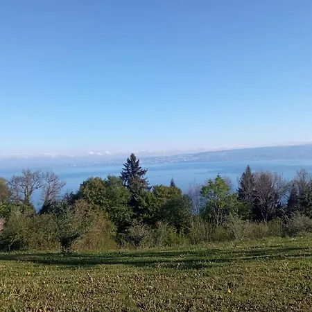 Proche Du Et Montagne *